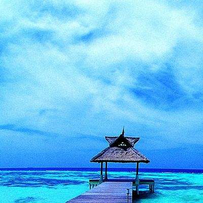 博鱼综合体育在线登录入口