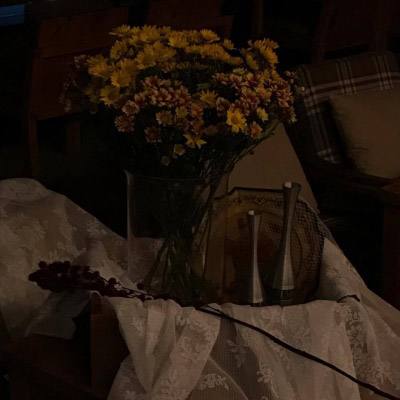 星空体育平台官网